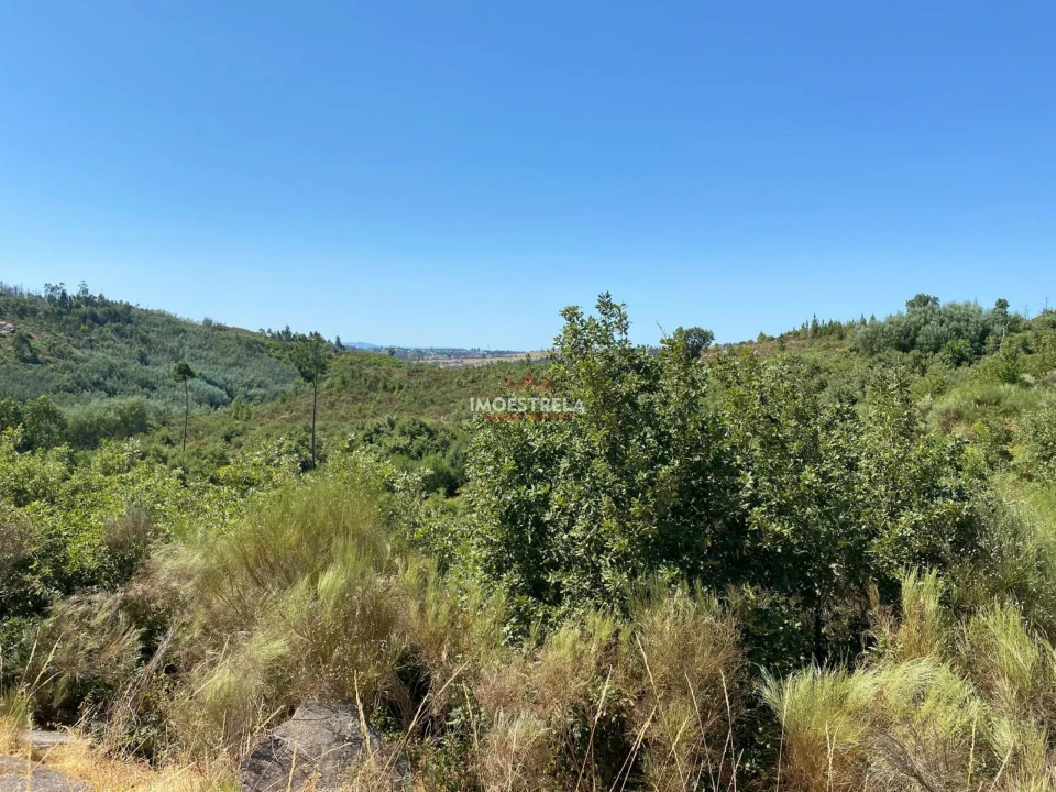 Quinta T0 para Venda em Ervedal e Vila Franca da Beira Foto 9