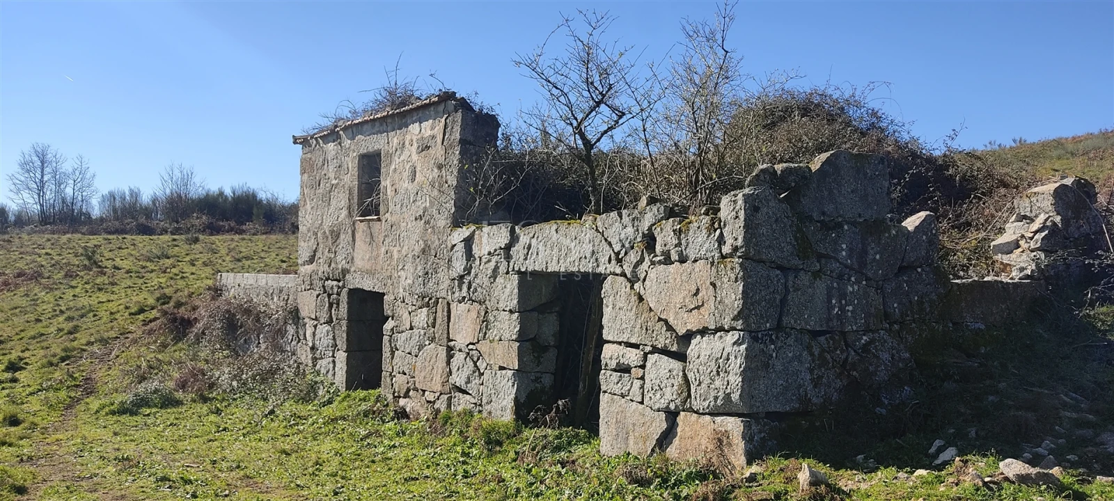 Quinta T3 para Venda em Gestaço Foto 4