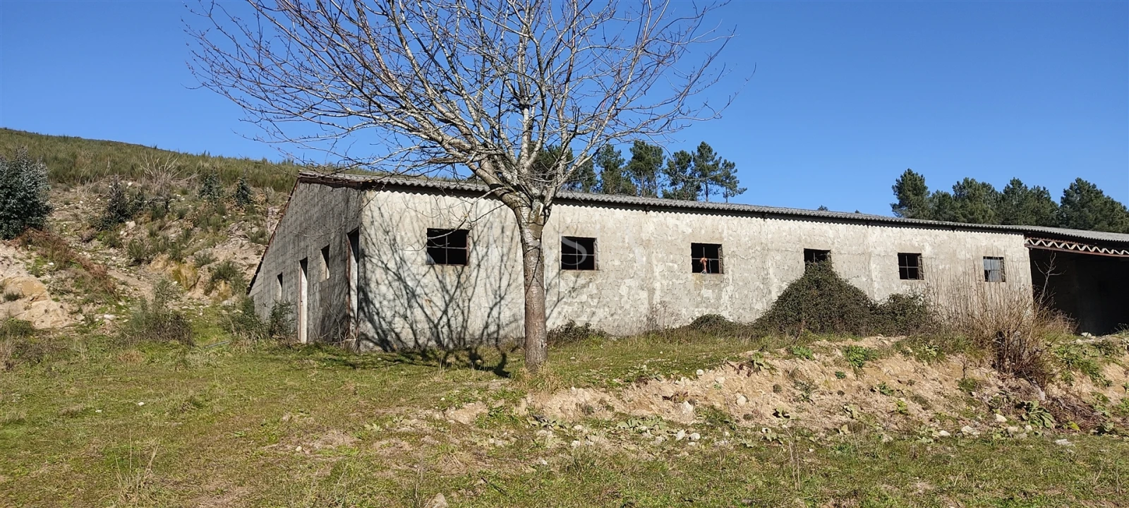 Quinta T3 para Venda em Gestaço Foto 5