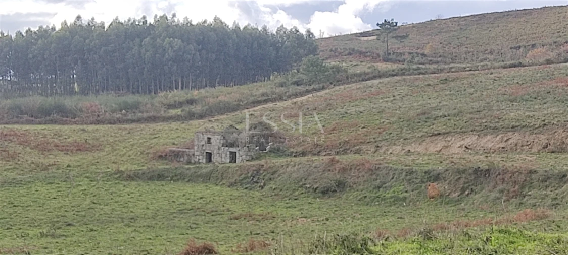 Quinta T3 para Venda em Gestaço Foto 14