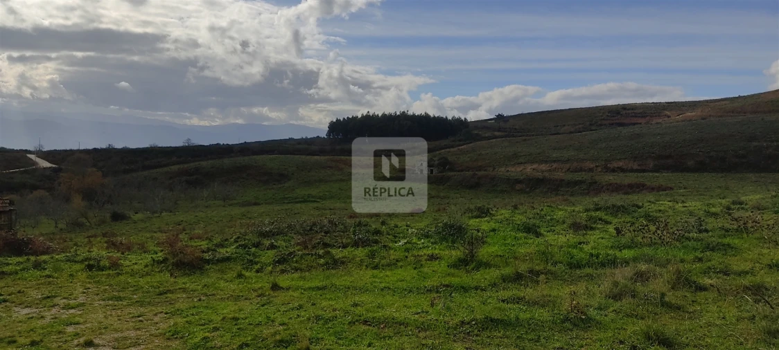 Quinta T3 para Venda em Gestaço Foto 12