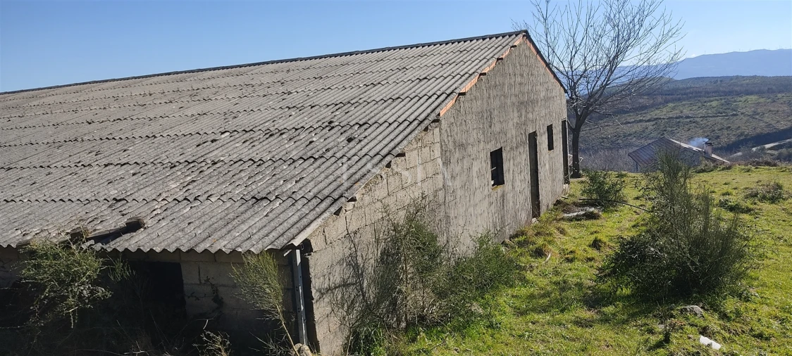 Quinta T3 para Venda em Gestaço Foto 7