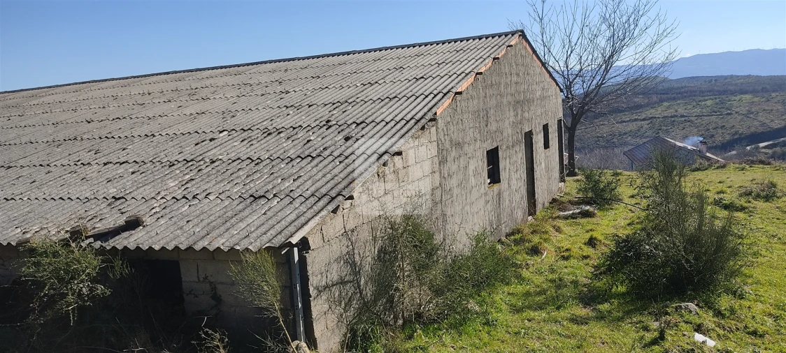 Quinta T3 para Venda em Gestaço Foto 9