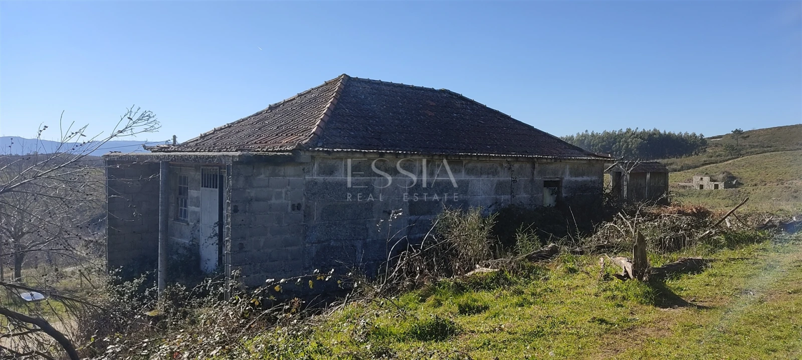 Quinta T3 para Venda em Gestaço Foto 10