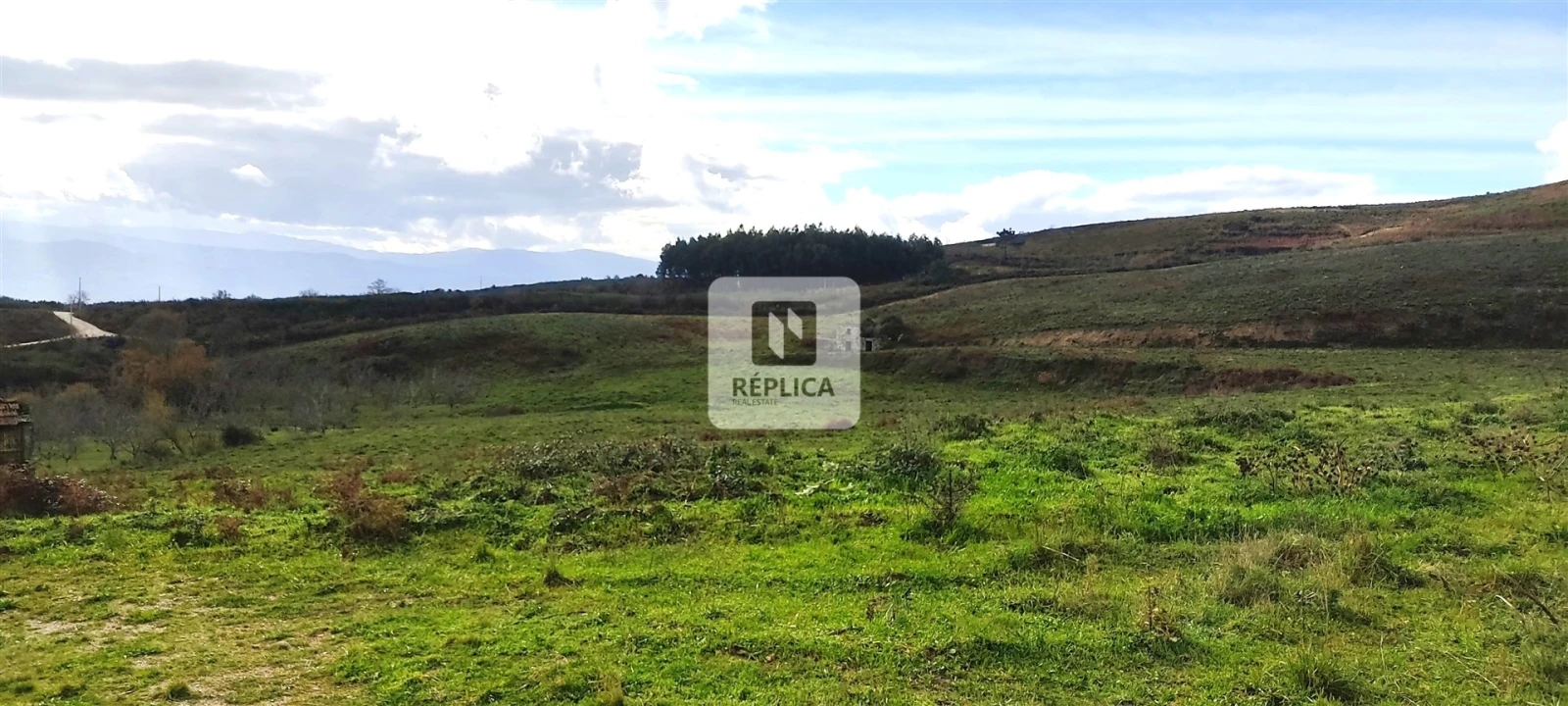 Quinta T3 para Venda em Gestaço Foto 1