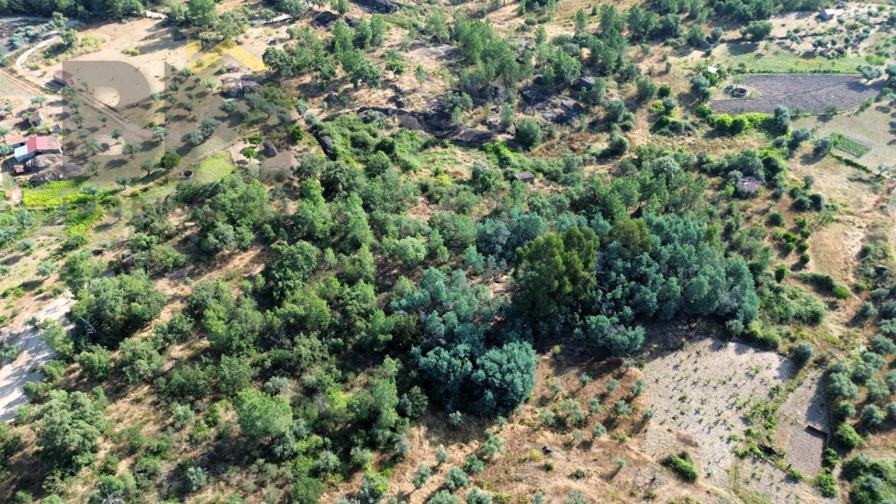 Terreno Agricola ou Rústico para Venda em Salgueiro do Campo Foto 4