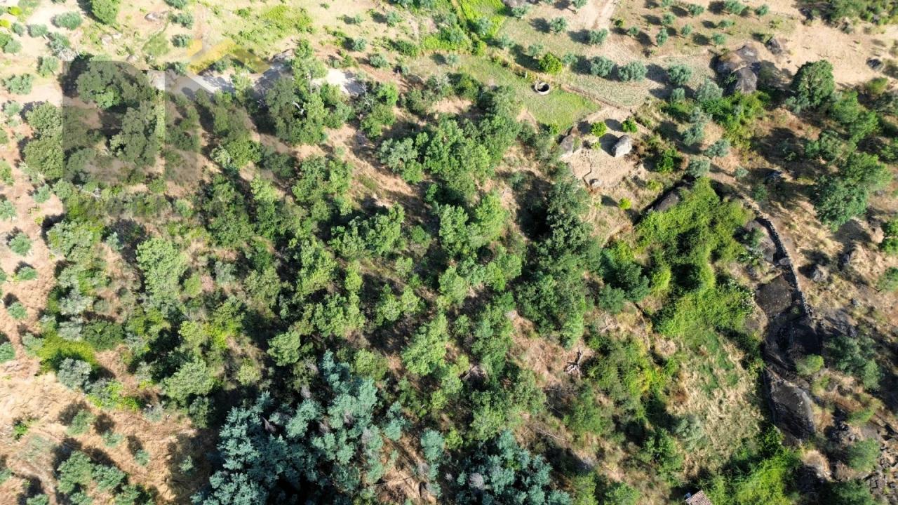Terreno Agricola ou Rústico para Venda em Salgueiro do Campo Foto 5
