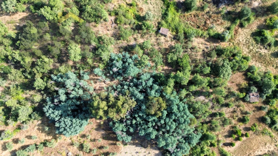 Terreno Agricola ou Rústico para Venda em Salgueiro do Campo Foto 6
