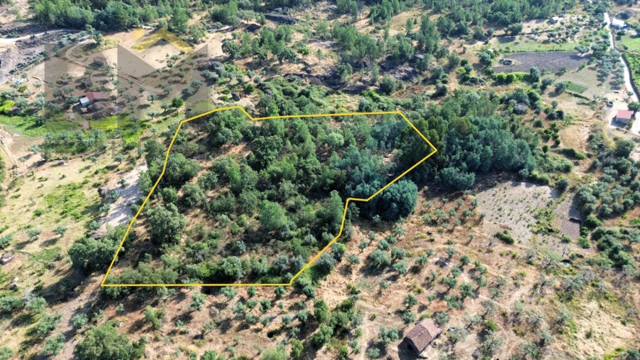 Terreno Agricola ou Rústico para Venda em Salgueiro do Campo