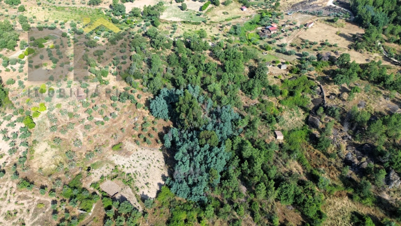 Terreno Agricola ou Rústico para Venda em Salgueiro do Campo Foto 2