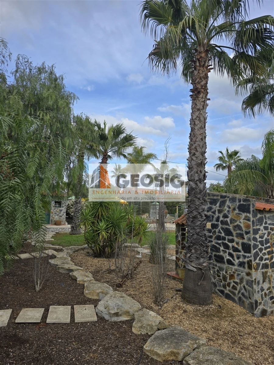 Moradia T4 para Venda em São Miguel do Pinheiro, São Pedro de Solis, São Sebastião dos Carros Foto 13