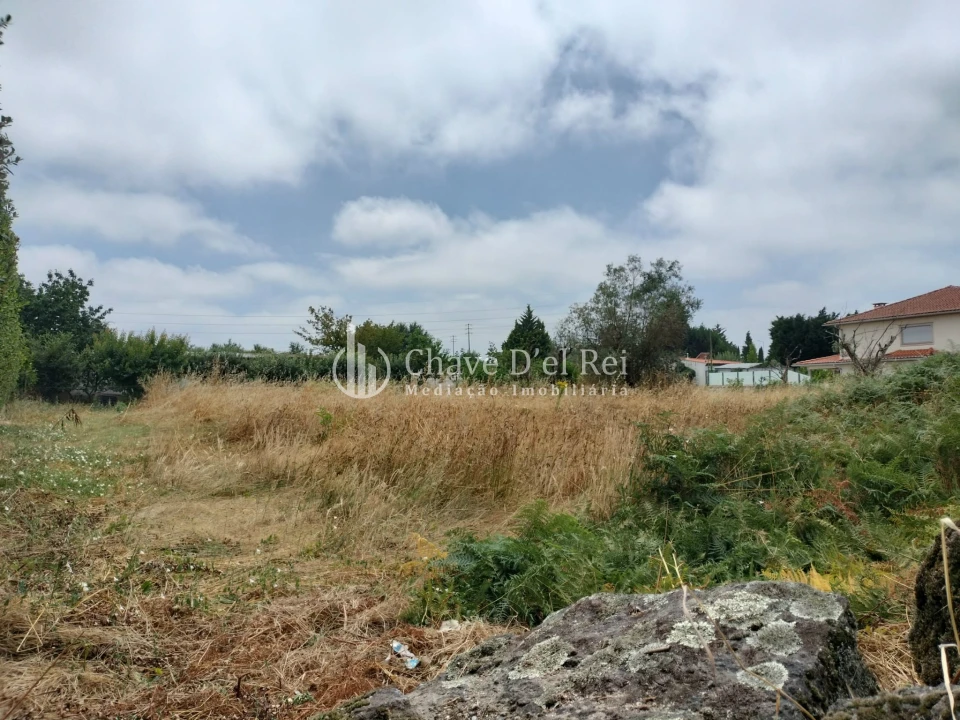 Terreno para Venda em Rio de Loba Foto 5