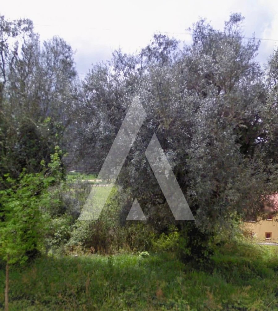 Terreno para Venda em Gondar e Orbacém Foto 3