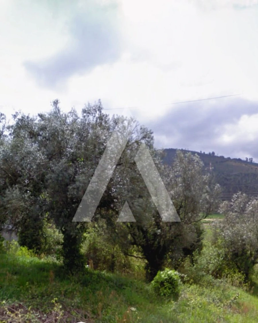 Terreno para Venda em Gondar e Orbacém Foto 6