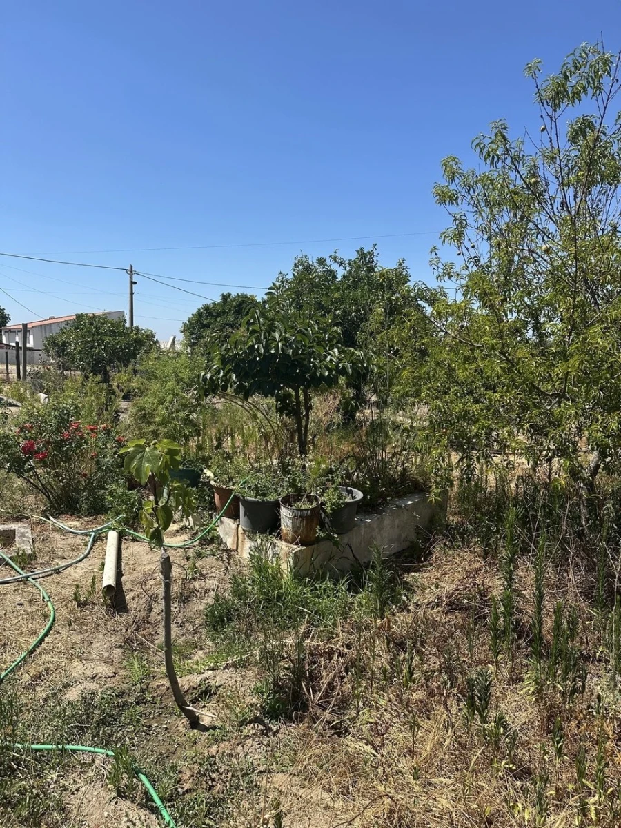 Quinta T2 para Venda em Mora Foto 6