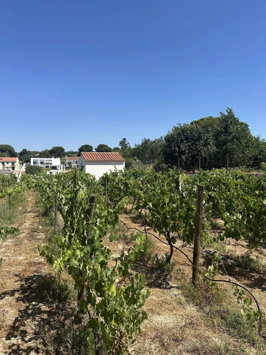 Quinta T2 para Venda em Mora Foto 20