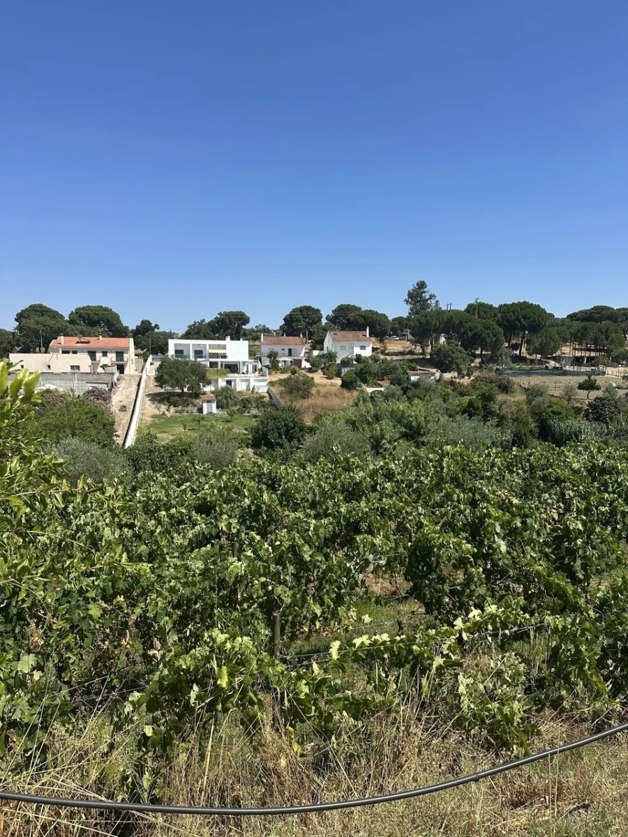 Quinta T2 para Venda em Mora Foto 1