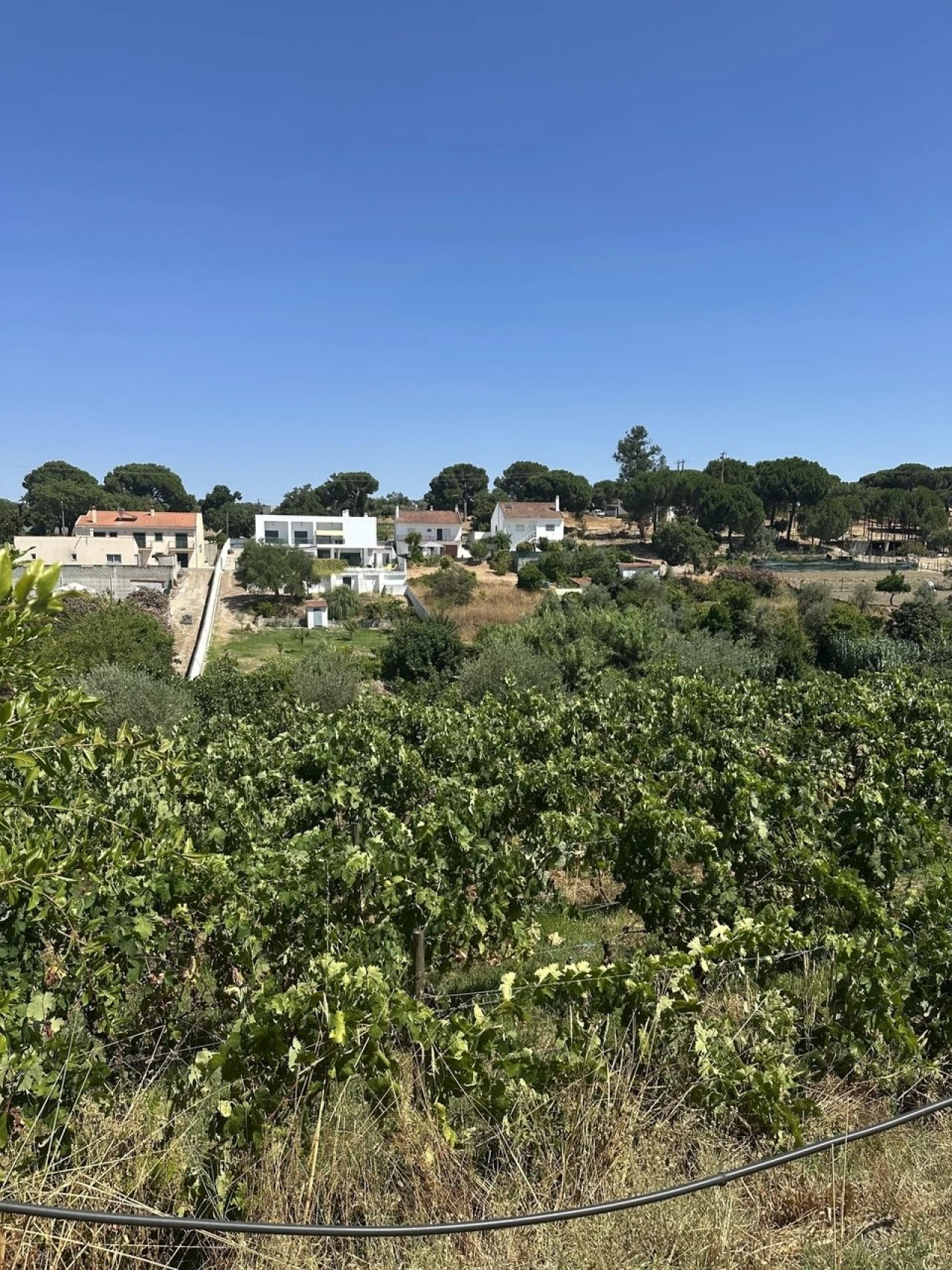 Quinta T2 para Venda em Mora Foto 1