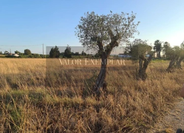 Terreno para Venda em Palmela