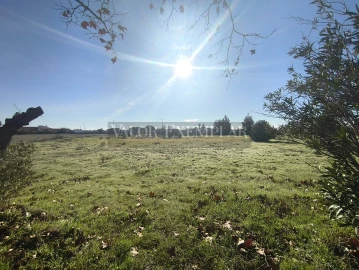 Terreno para Venda em Palmela