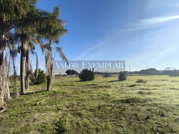 Terreno para Venda em Palmela