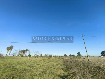 Terreno para Venda em Palmela