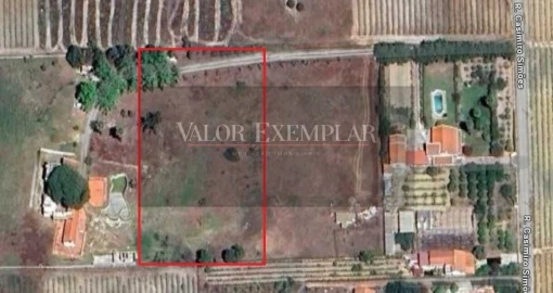 Terreno para Venda em Palmela