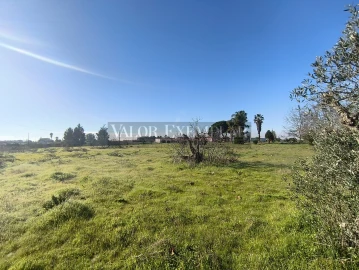 Terreno para Venda em Palmela