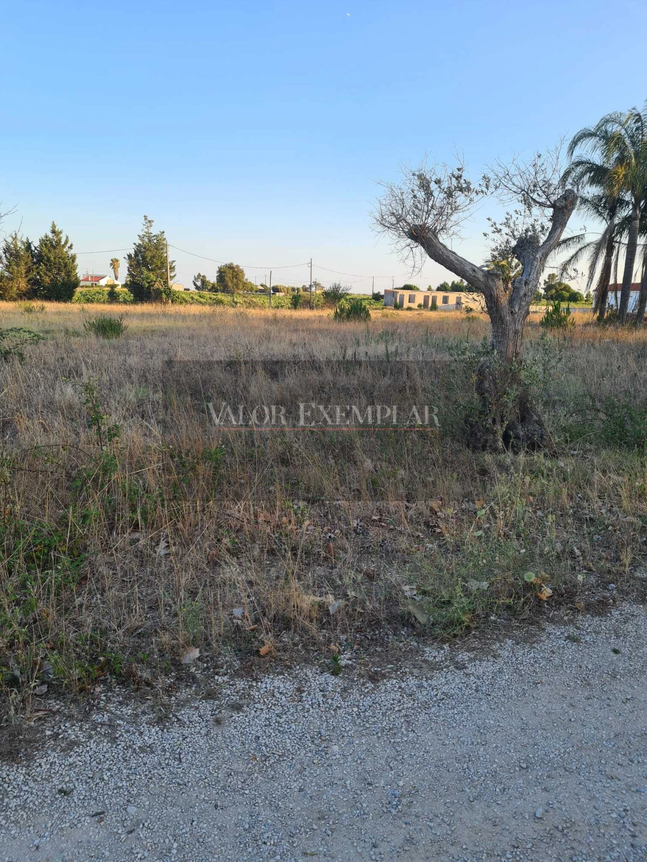 Terreno para Venda em Palmela Foto 15