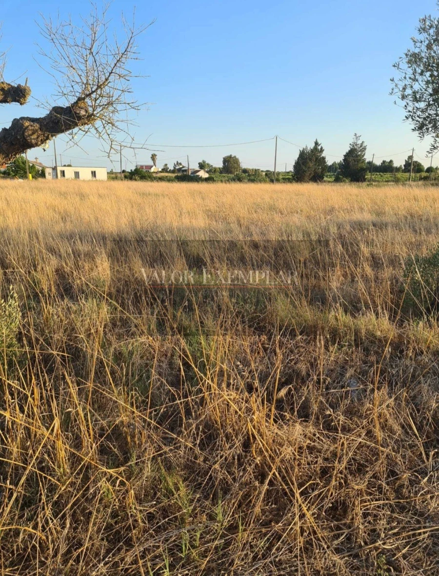 Terreno para Venda em Palmela Foto 13