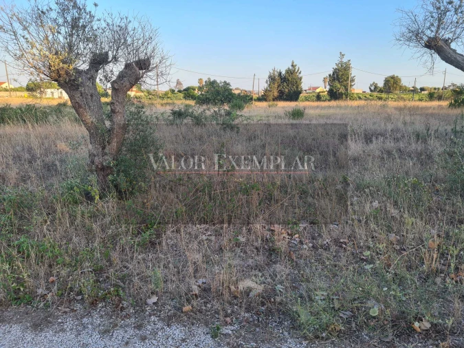 Terreno para Venda em Palmela Foto 10