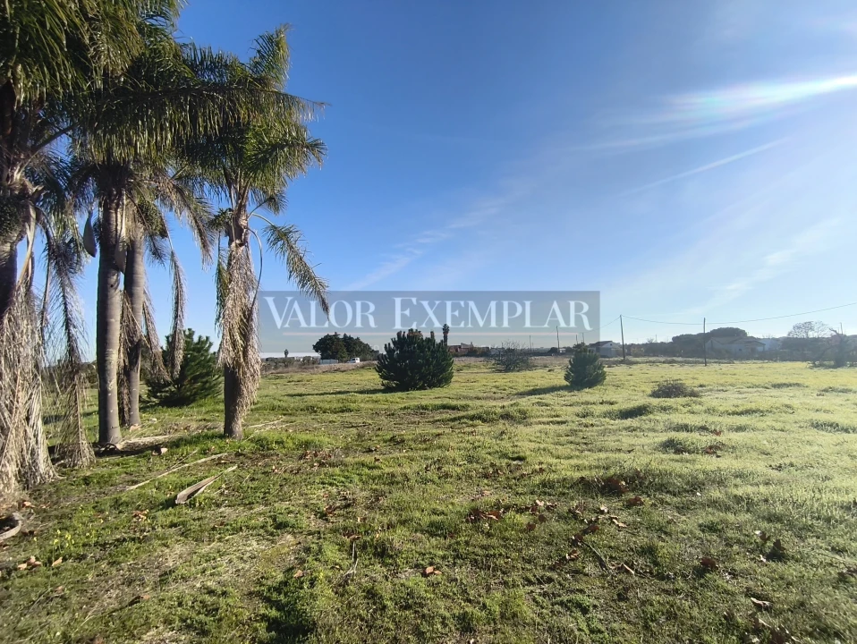 Terreno para Venda em Palmela Foto 4