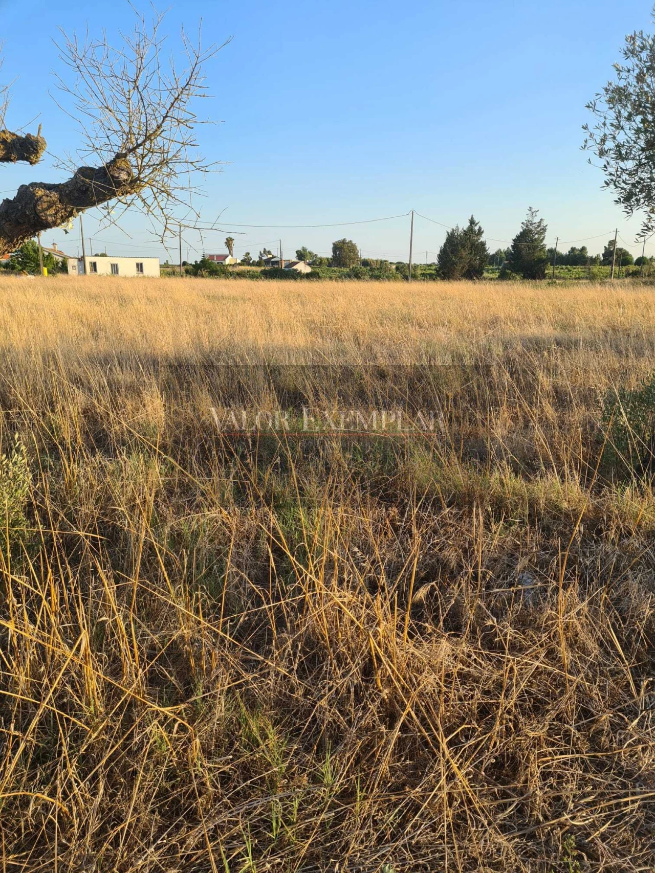 Terreno para Venda em Palmela Foto 9