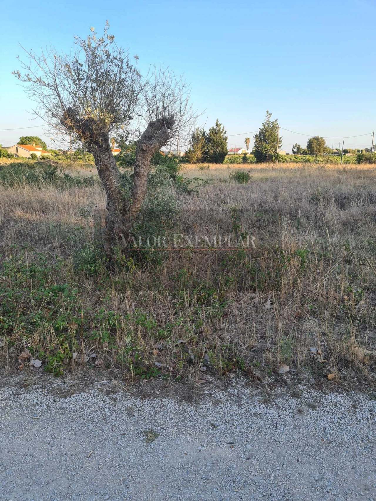 Terreno para Venda em Palmela Foto 14