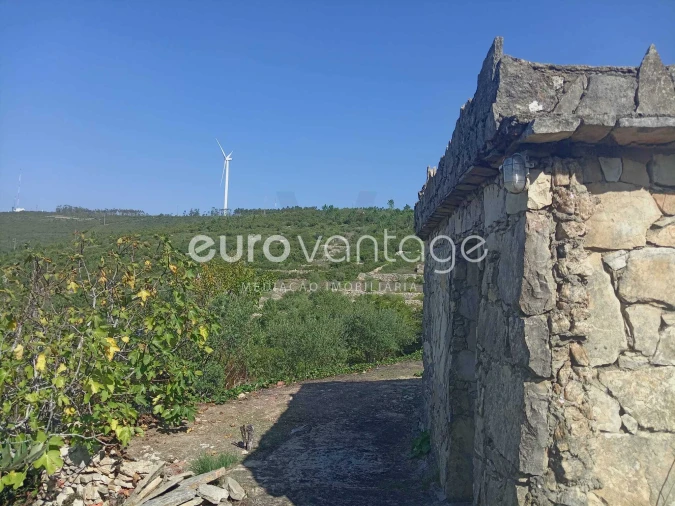 Terreno para Venda em Reguengo do Fetal Foto 6