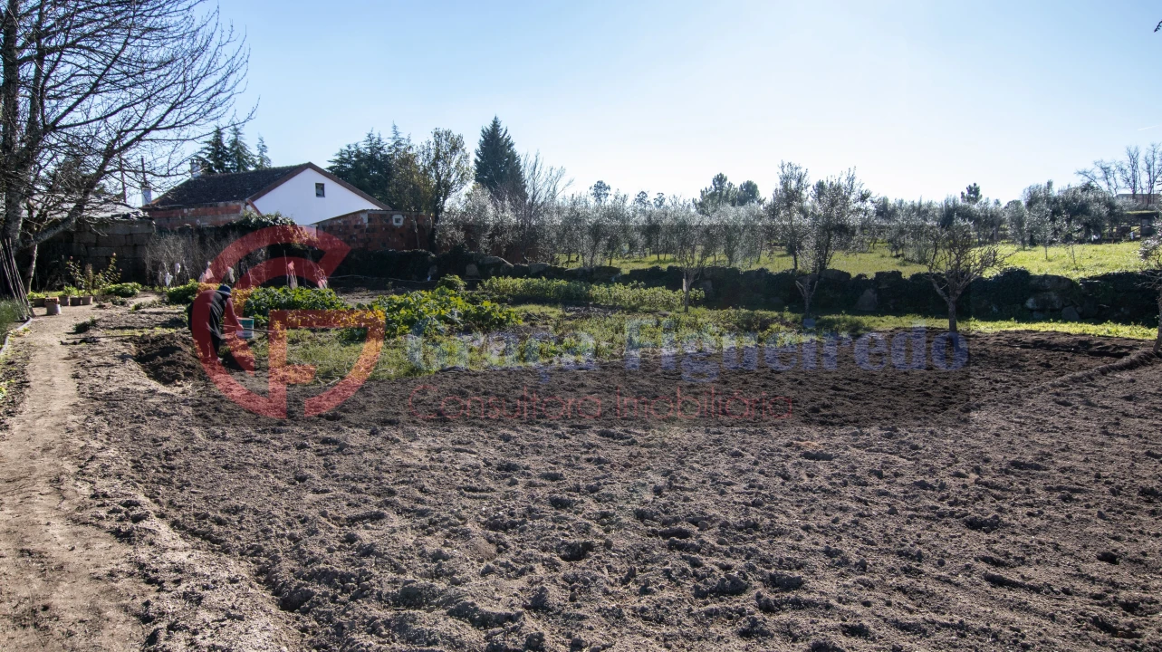 Moradia T3 para Venda em Travancinha Foto 13