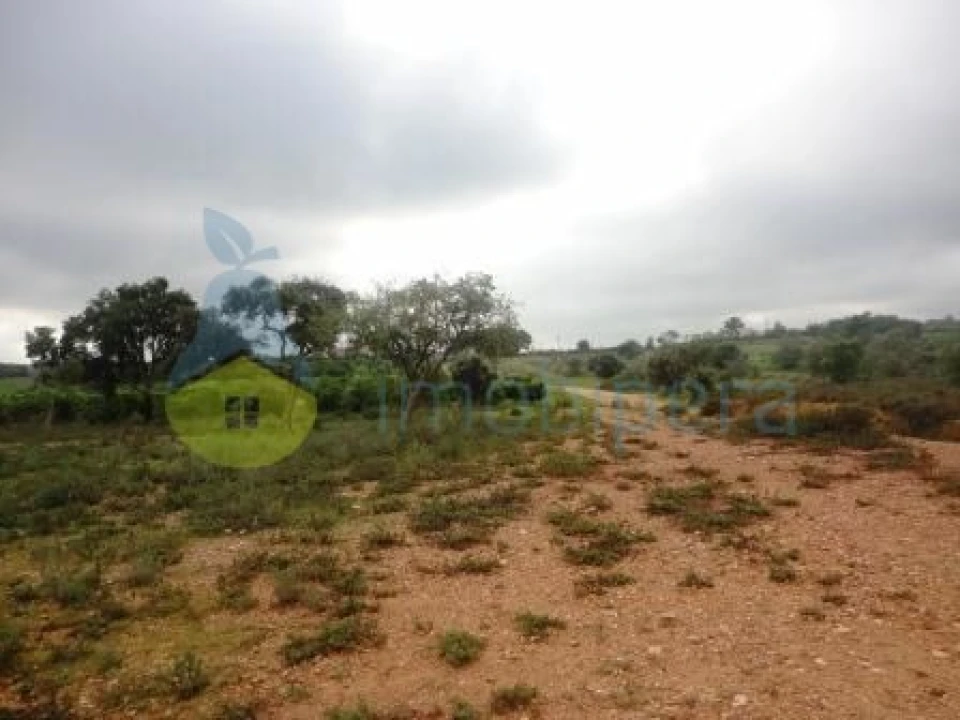 Terreno Agricola ou Rústico para Venda em Alcantarilha e Pêra Foto 1
