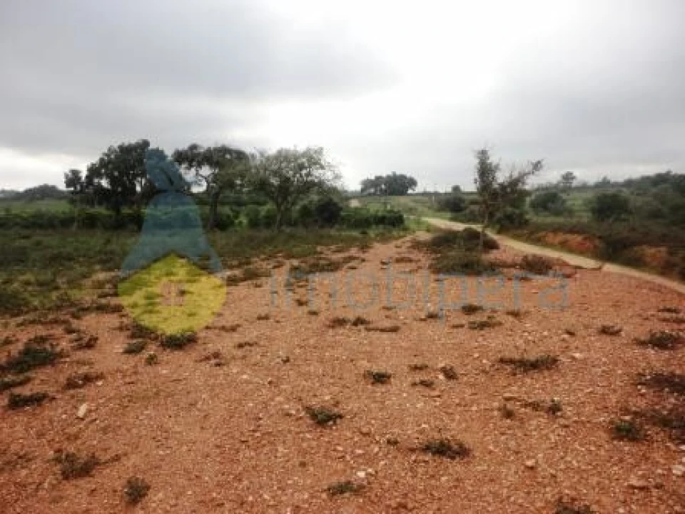 Terreno Agricola ou Rústico para Venda em Alcantarilha e Pêra Foto 3