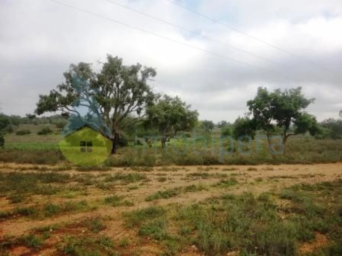 Terreno Agricola ou Rústico para Venda em Alcantarilha e Pêra Foto 2