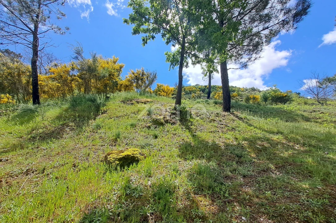 Moradia T6 para Venda em Seia, São Romão e Lapa dos Dinheiros Foto 23
