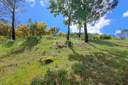Moradia T6 para Venda em Seia, São Romão e Lapa dos Dinheiros