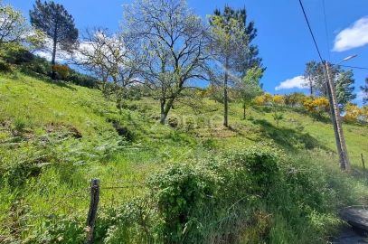Moradia T6 para Venda em Seia, São Romão e Lapa dos Dinheiros