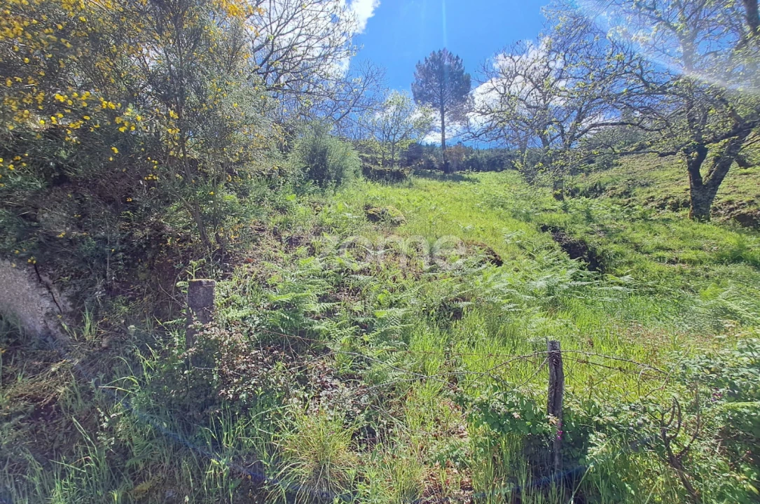 Moradia T6 para Venda em Seia, São Romão e Lapa dos Dinheiros Foto 24