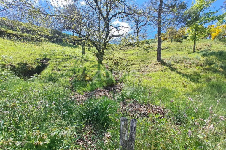 Moradia T6 para Venda em Seia, São Romão e Lapa dos Dinheiros Foto 25