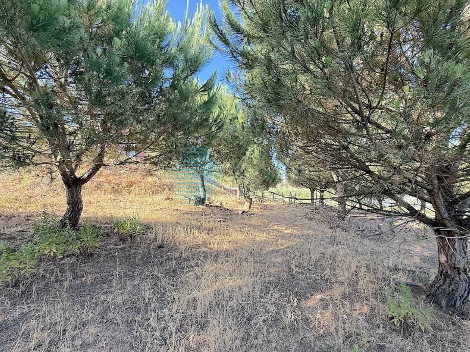 Moradia T4 para Venda em Ramalhal Foto 46