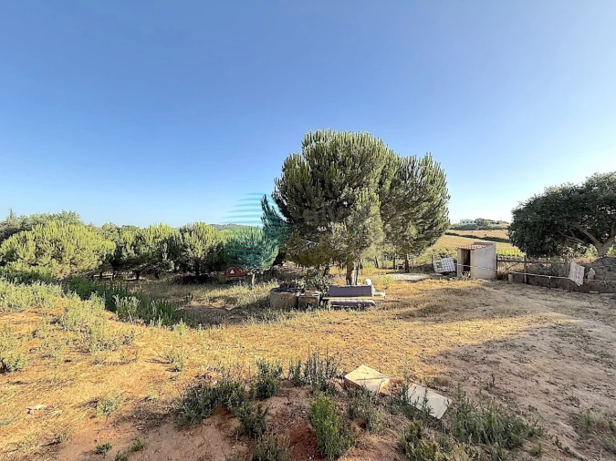 Moradia T4 para Venda em Ramalhal Foto 40