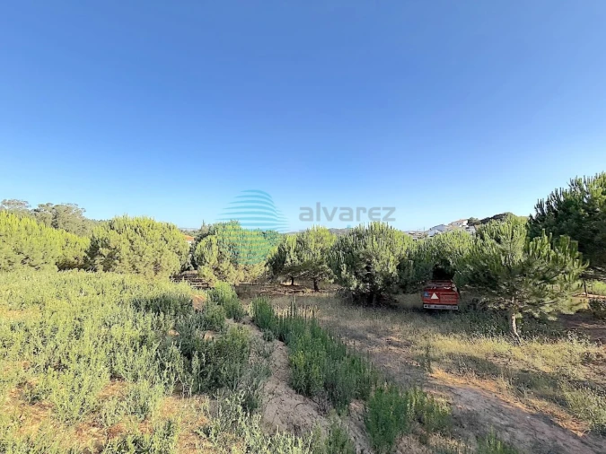 Moradia T4 para Venda em Ramalhal Foto 41