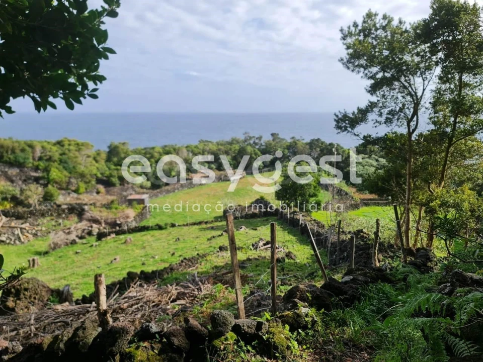 Moradia T1 para Venda em São João Foto 2