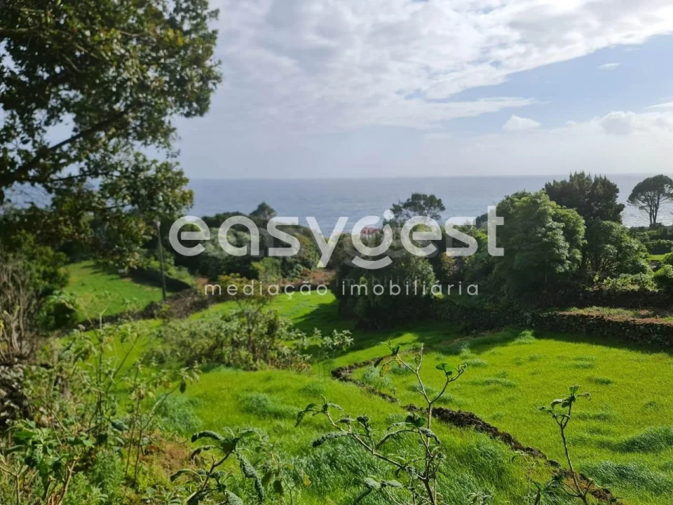 Moradia T1 para Venda em São João Foto 3