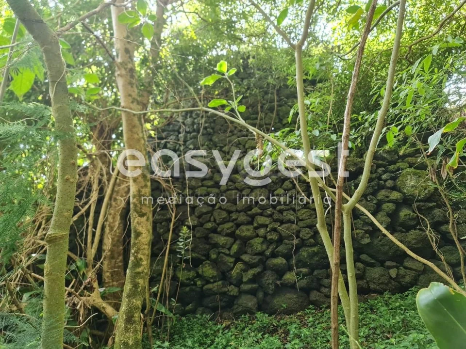 Moradia T1 para Venda em São João Foto 5